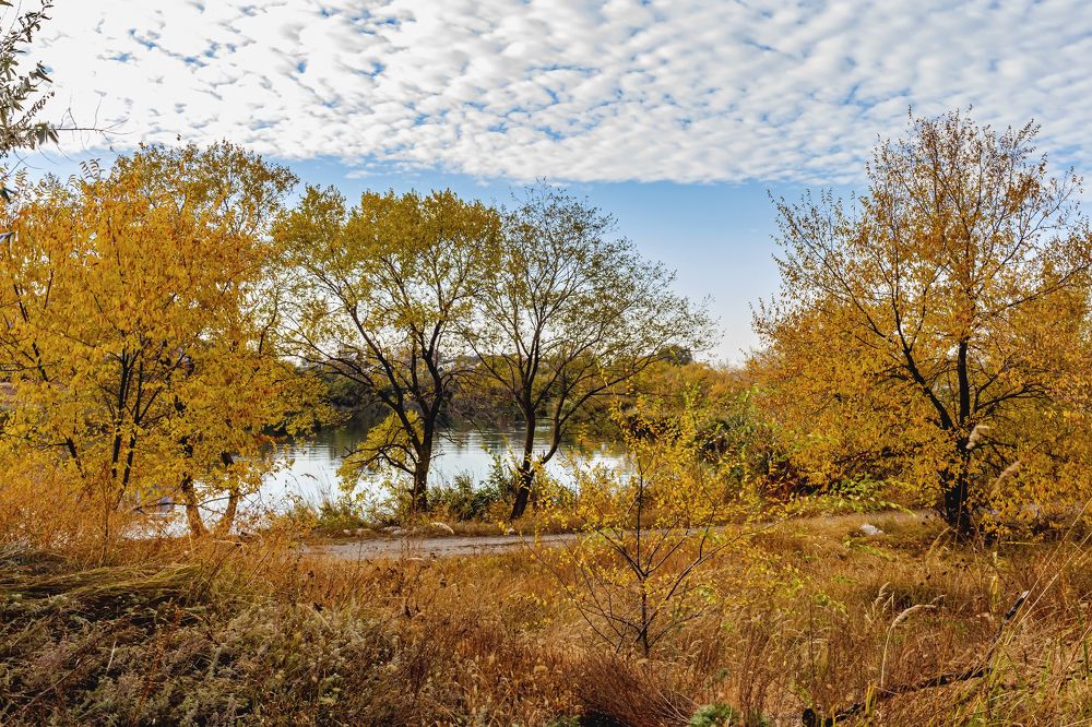 Осенним утром у пруда