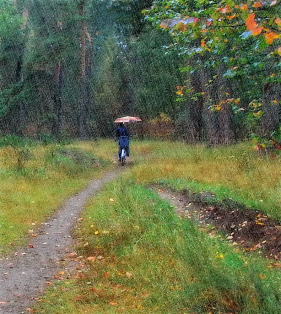 Осеннее лирическое.