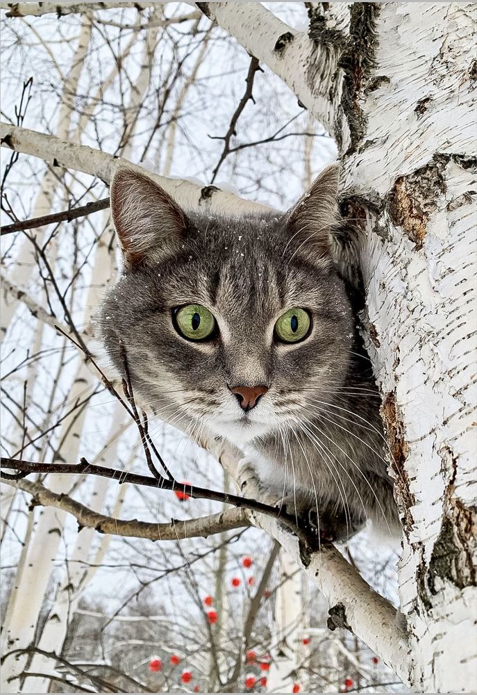 Photograph by NADEZHDA PELYMSKAIA