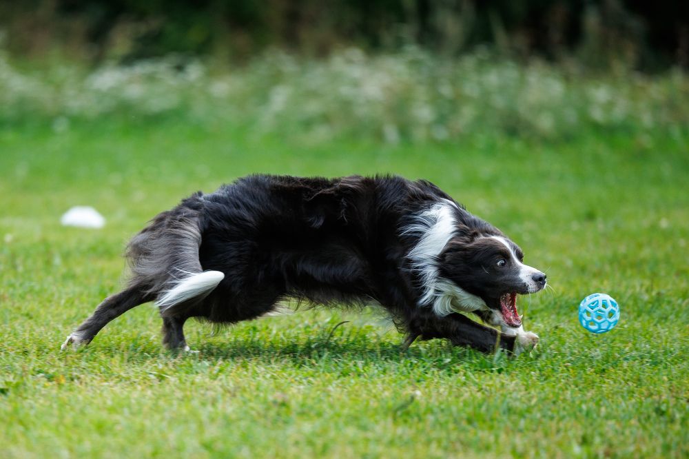 Photograph by Илья Юфа