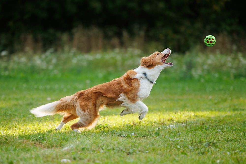 Photograph by Илья Юфа