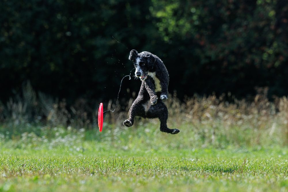 Photograph by Илья Юфа