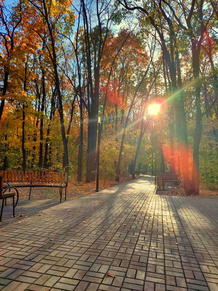 Photograph by Александр Беляков