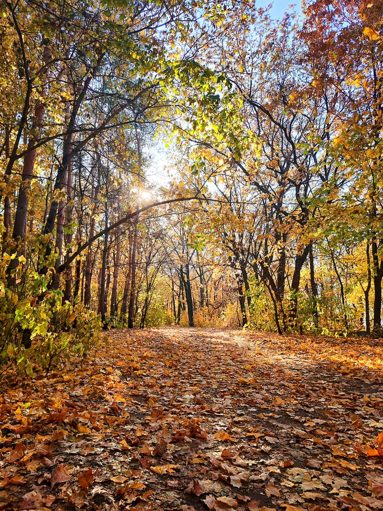 Photograph by Александр Беляков