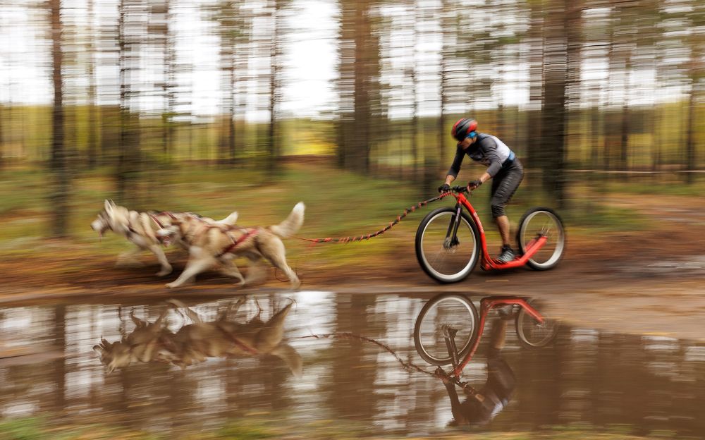 Photograph by Илья Юфа