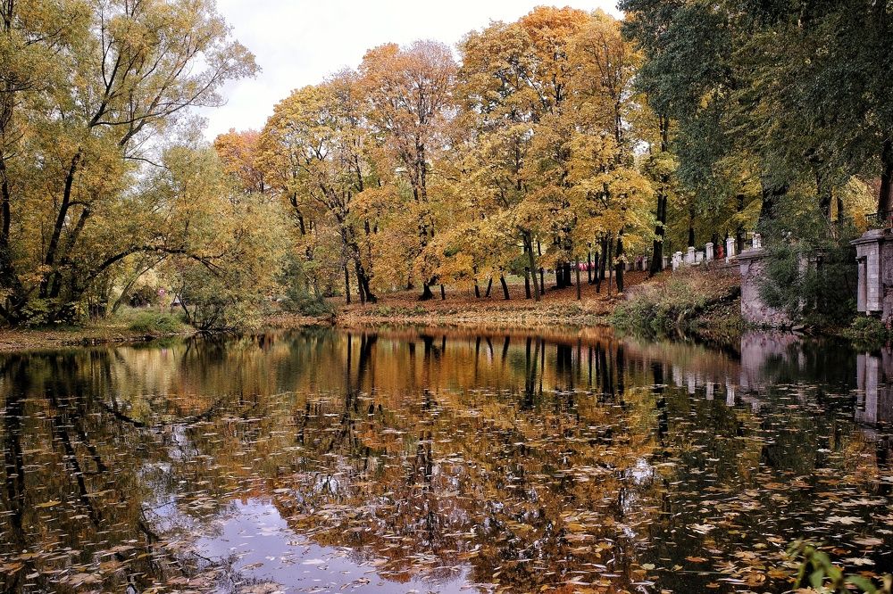 Photograph by Наталья Сафронова