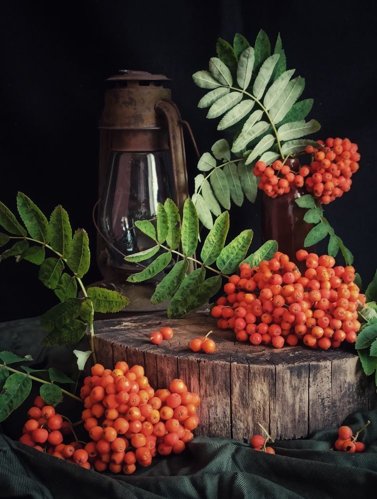 Рябины цвет