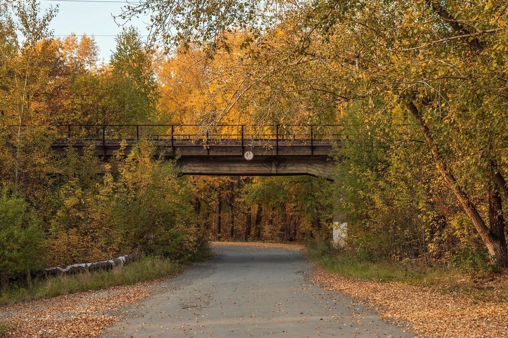 Photograph by Александр Нестеров