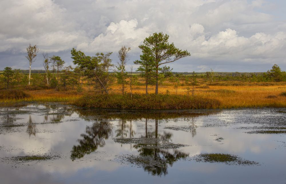 Photograph by Leanid Kulpo