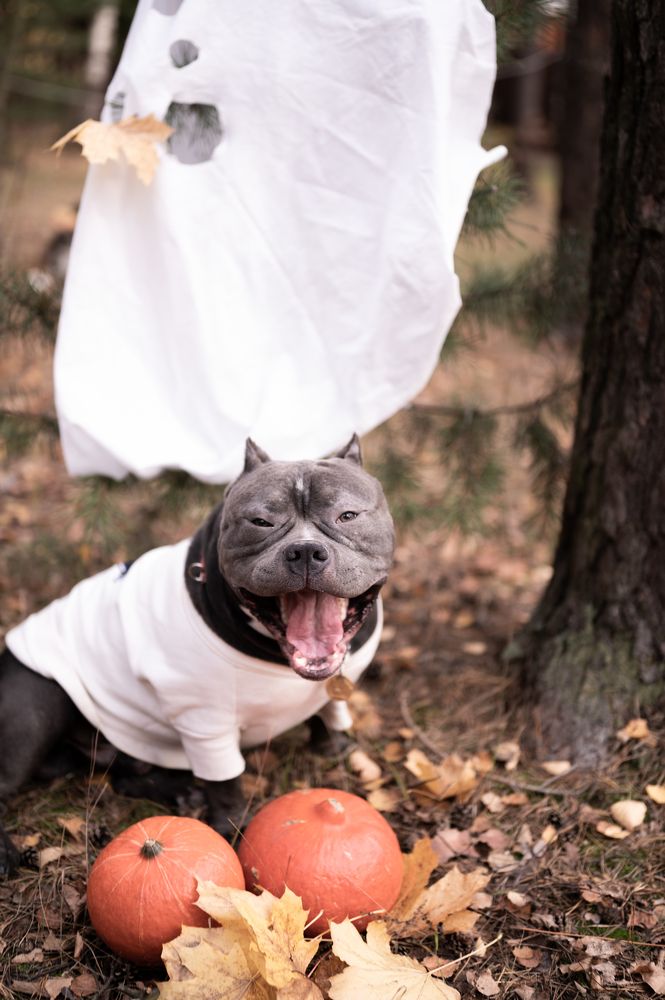 Photograph by Вика Нова