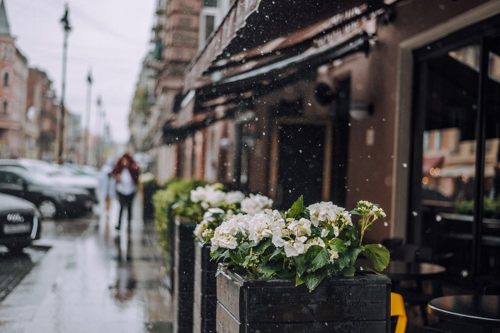 Photograph by Евгений Билалов