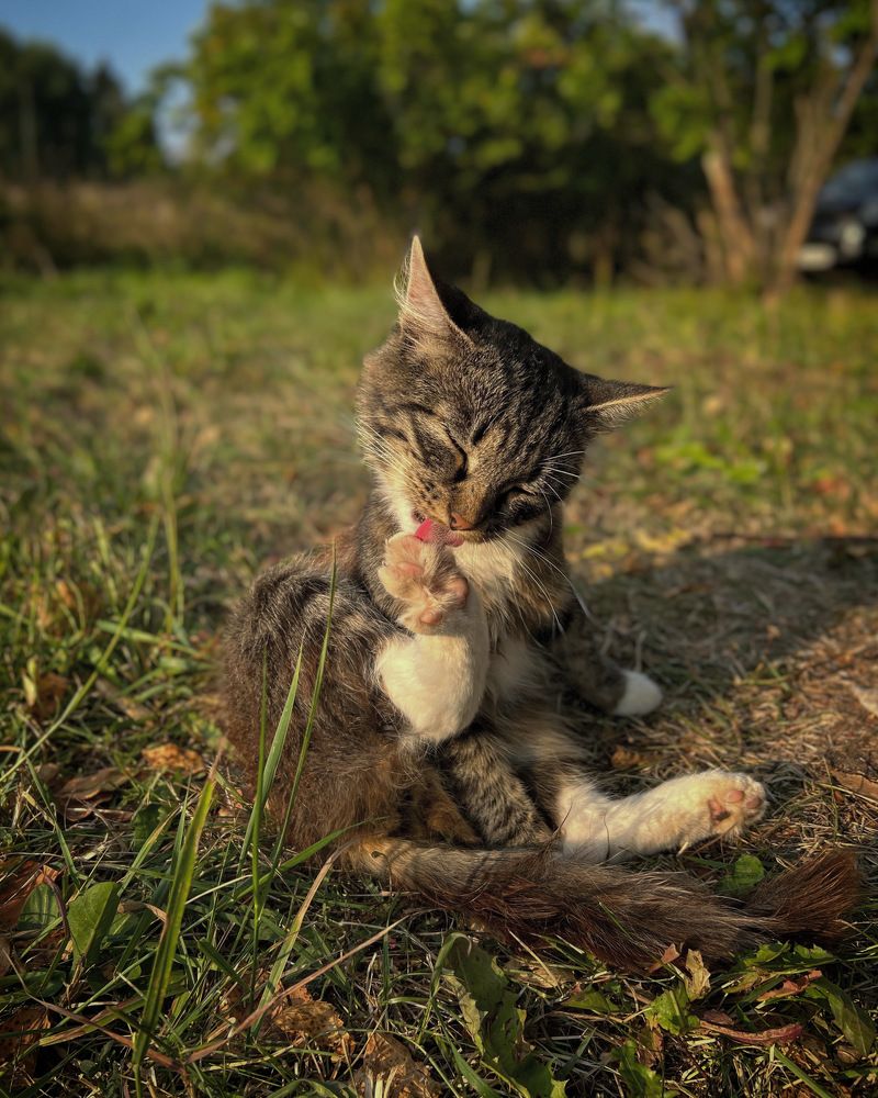 Photograph by Tatiana Grinko