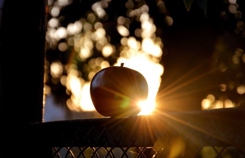 Ксения Габелко, Russia