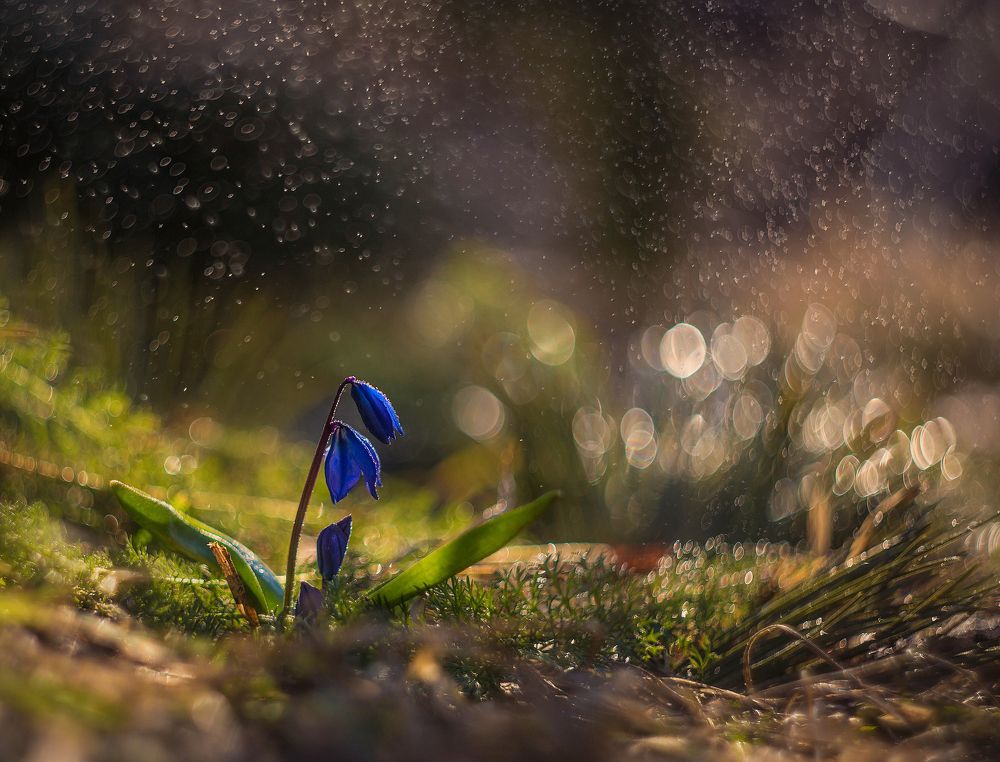 На рассвете