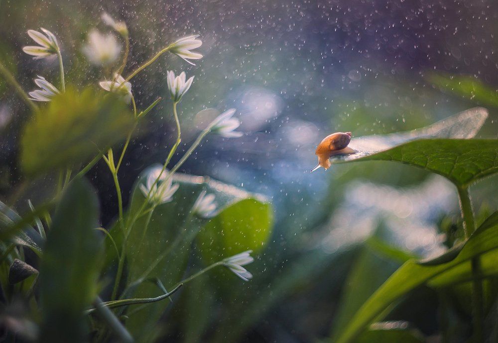 Весенним утром