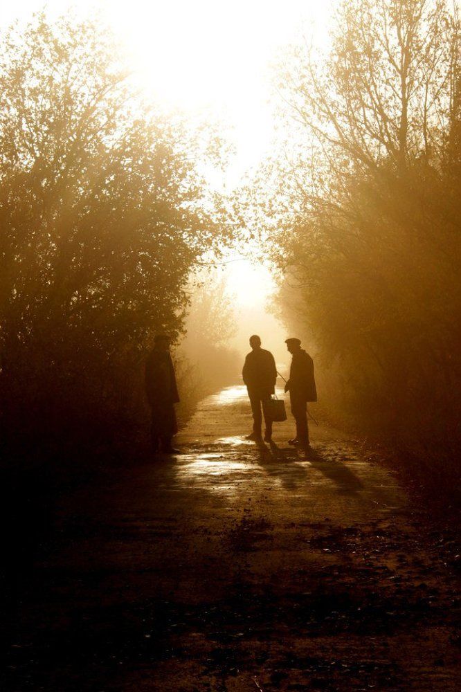 Photograph by Saper Серёжа