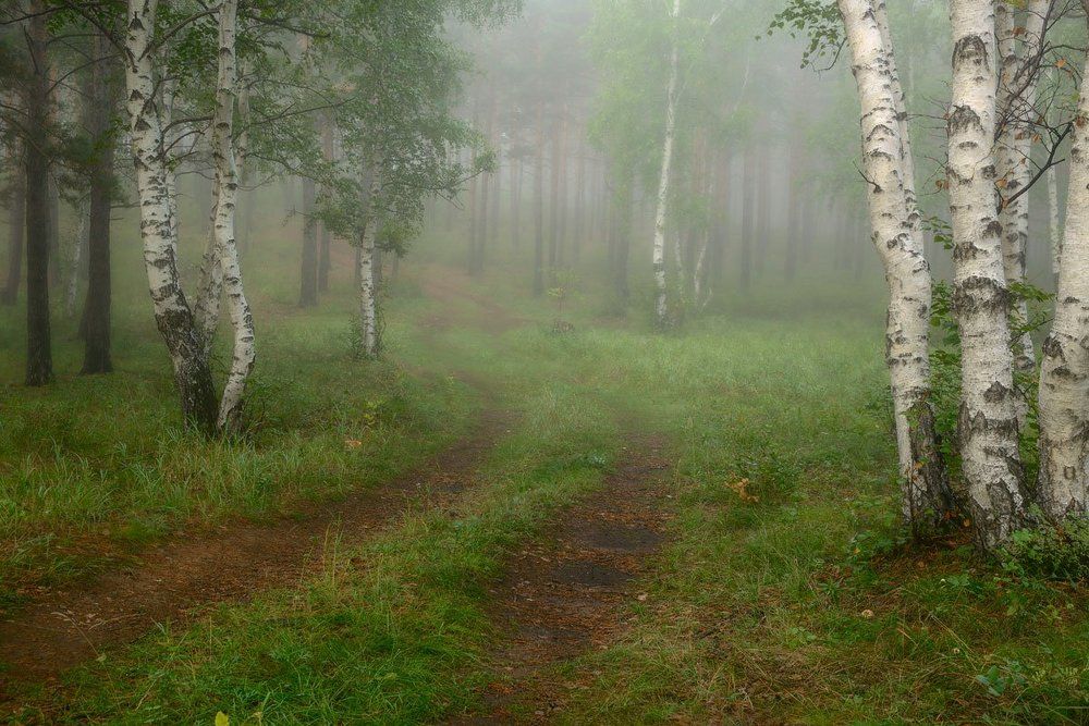 Августовским утром