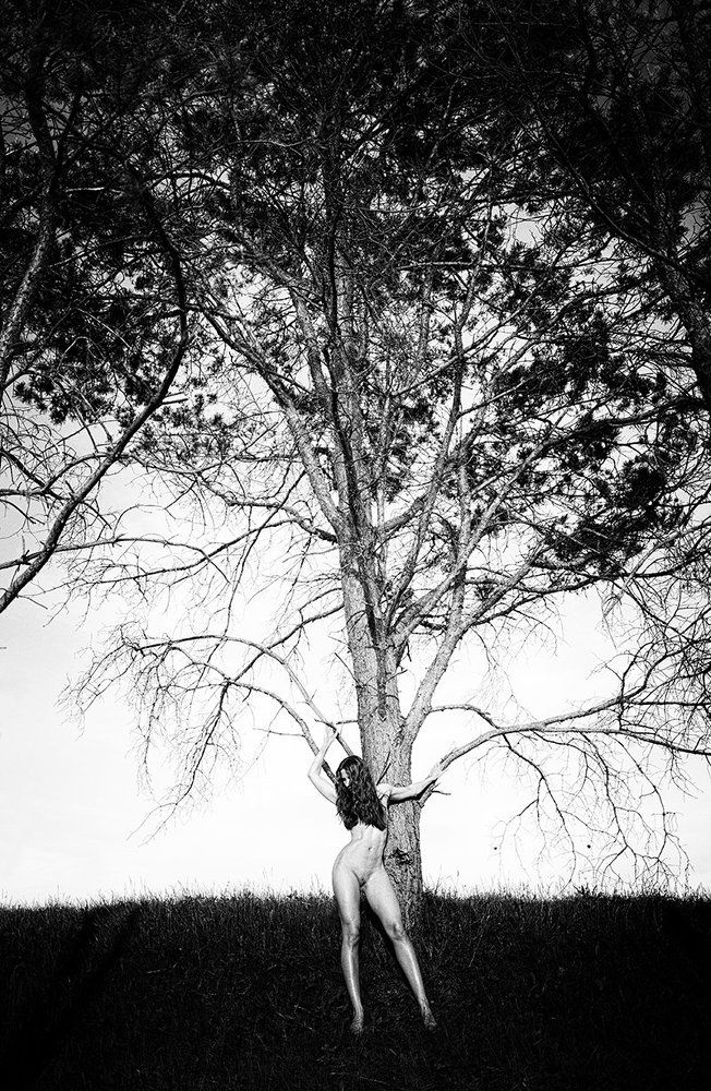 Photograph by Наталия Жмерик