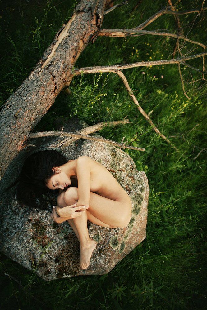 Photograph by Наталия Жмерик