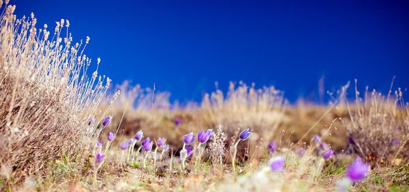 Александр, Russia