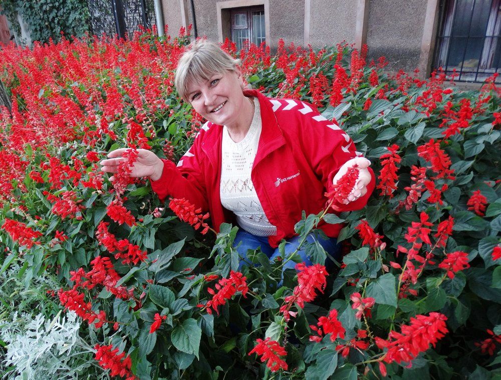 ОСЕННИЙ МОТИВ