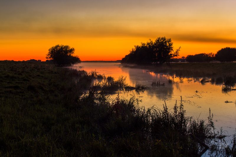 Капуста Степан, Russia