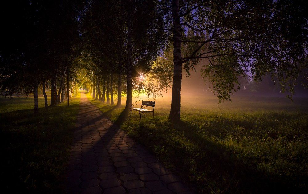 Ночная аллея