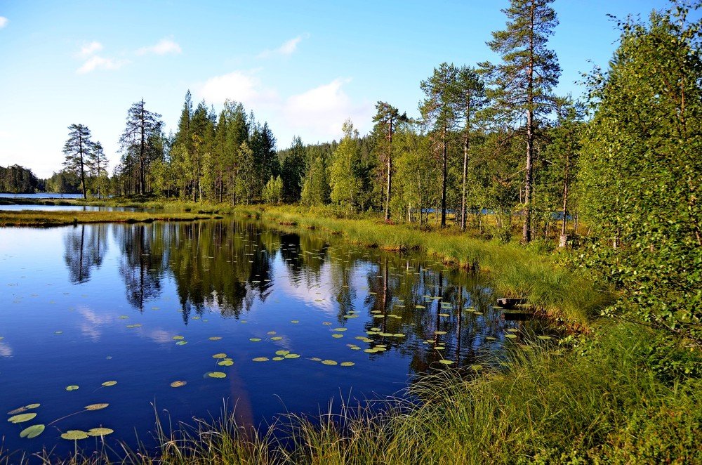 Над голубыми глазами озер