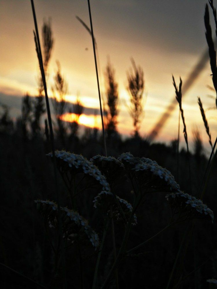 Photograph by мария