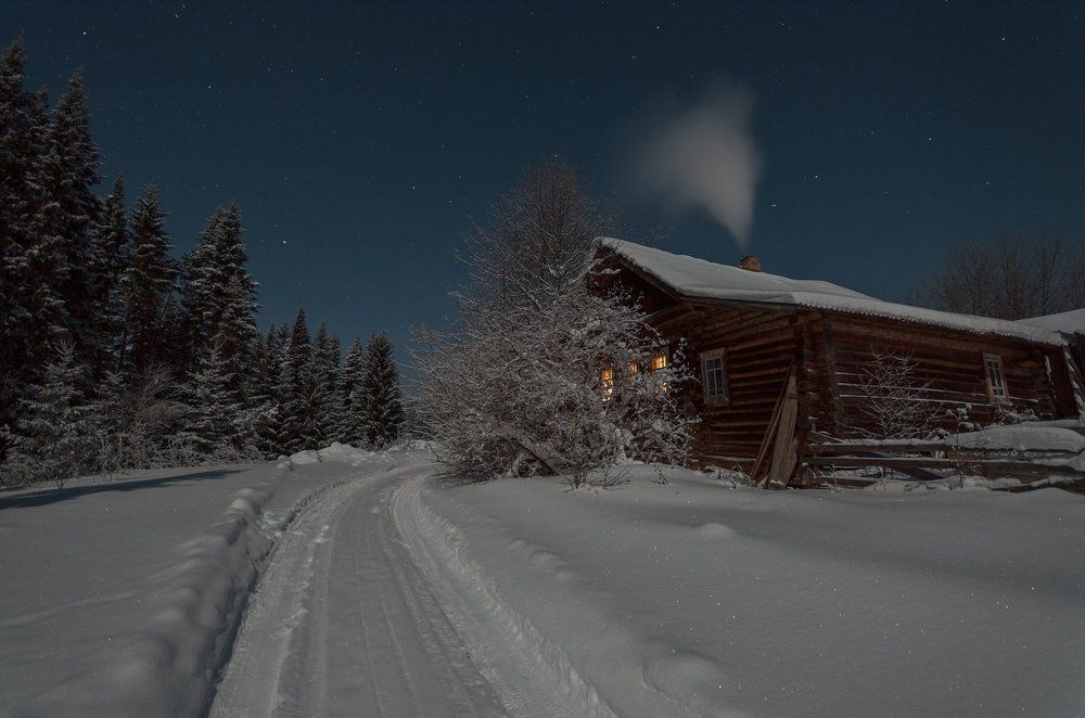 Островок уюта и тепла в царстве холода