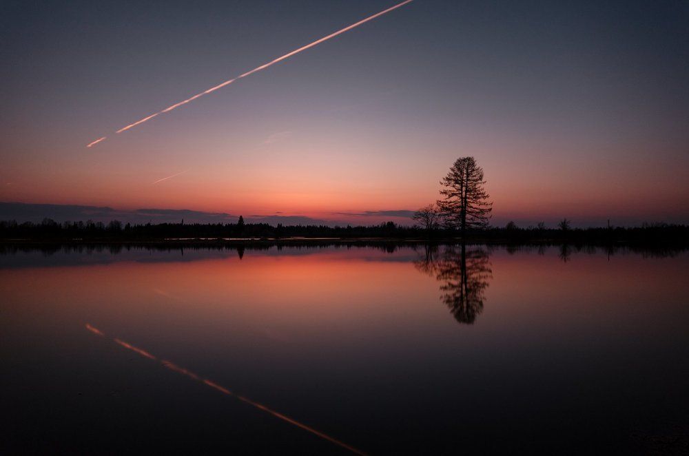 Обратная реальность