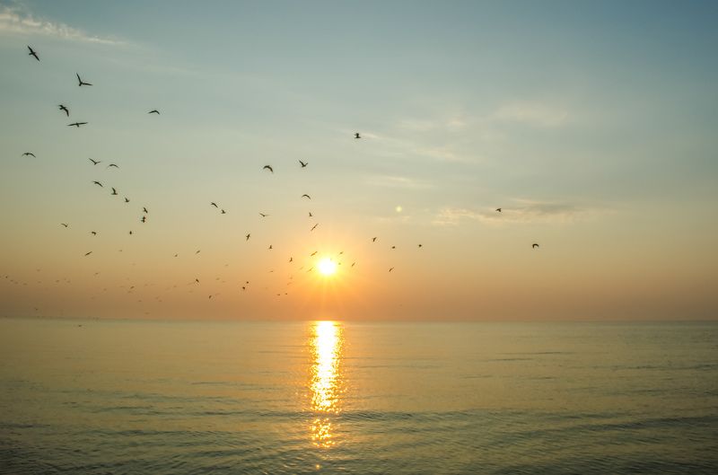 Виктория Петренко, Ukraine