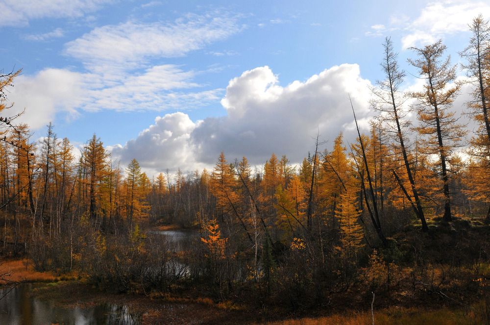 Поздняя осень