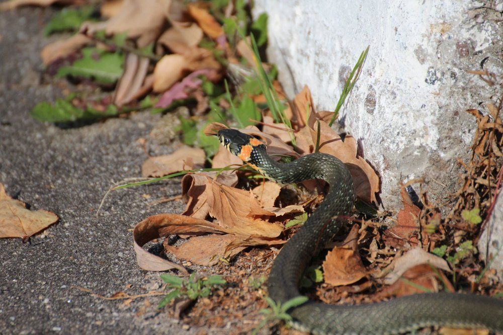 Встреча 1. 2/3