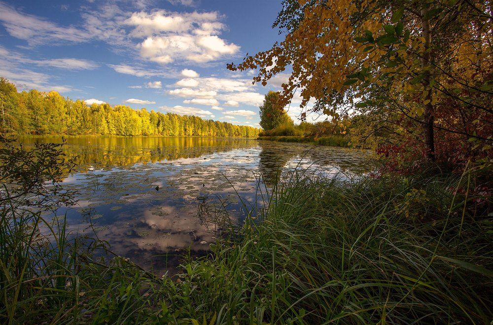 Photograph by Поташев Александр