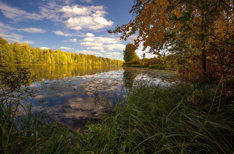 Potashev Alexandr, Russia