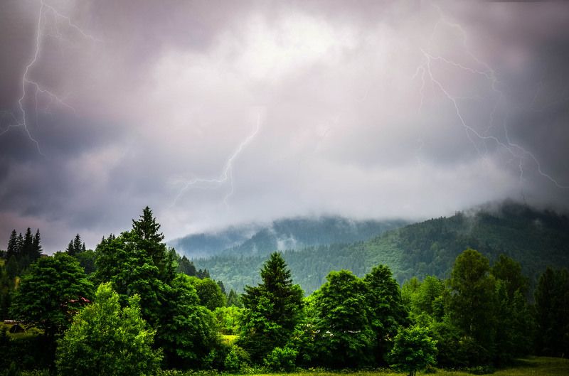 Ярослава, Ukraine