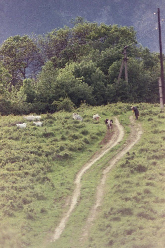 Женщина-пастух в Крымских горах.