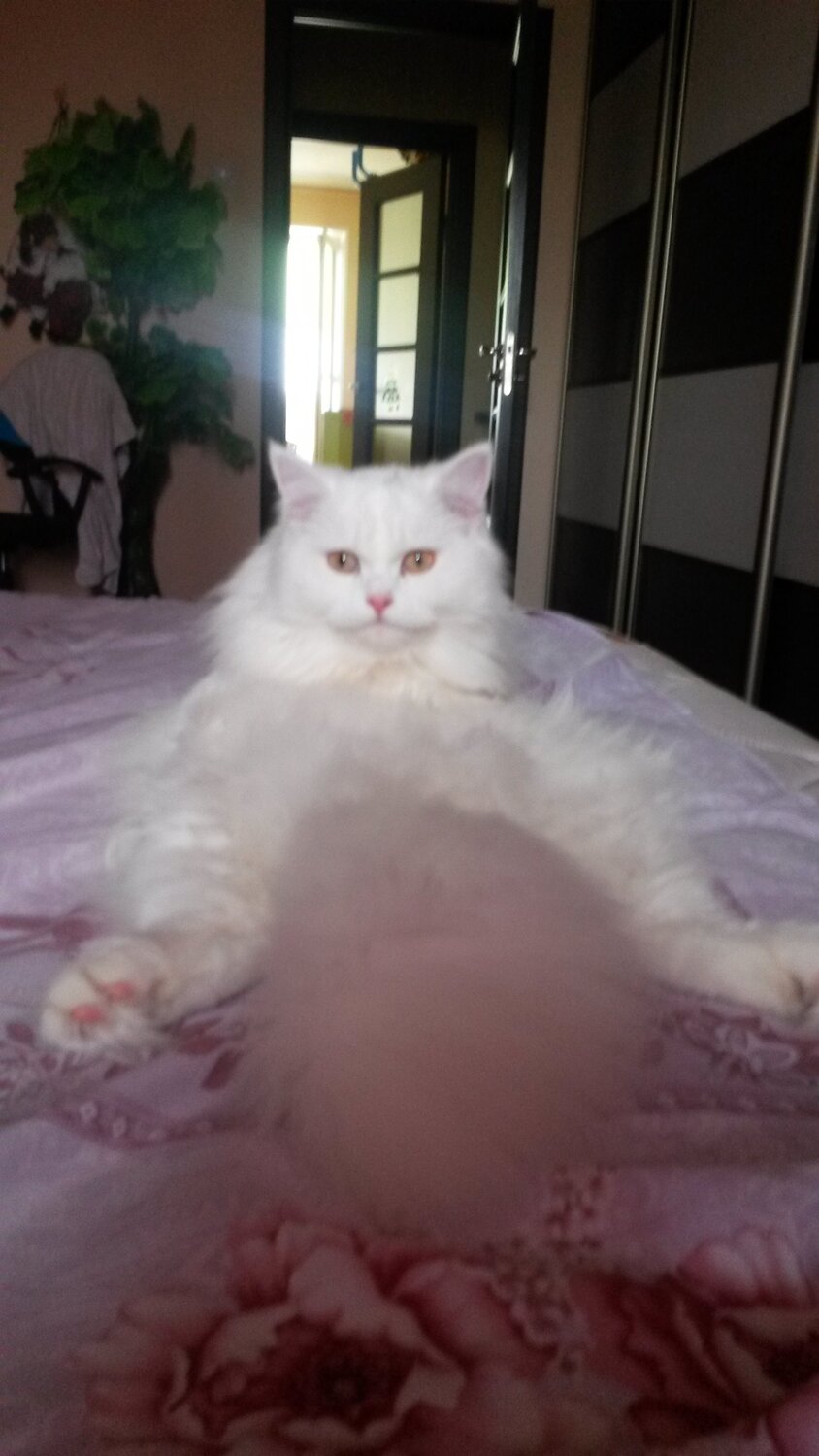 А мне так удобно