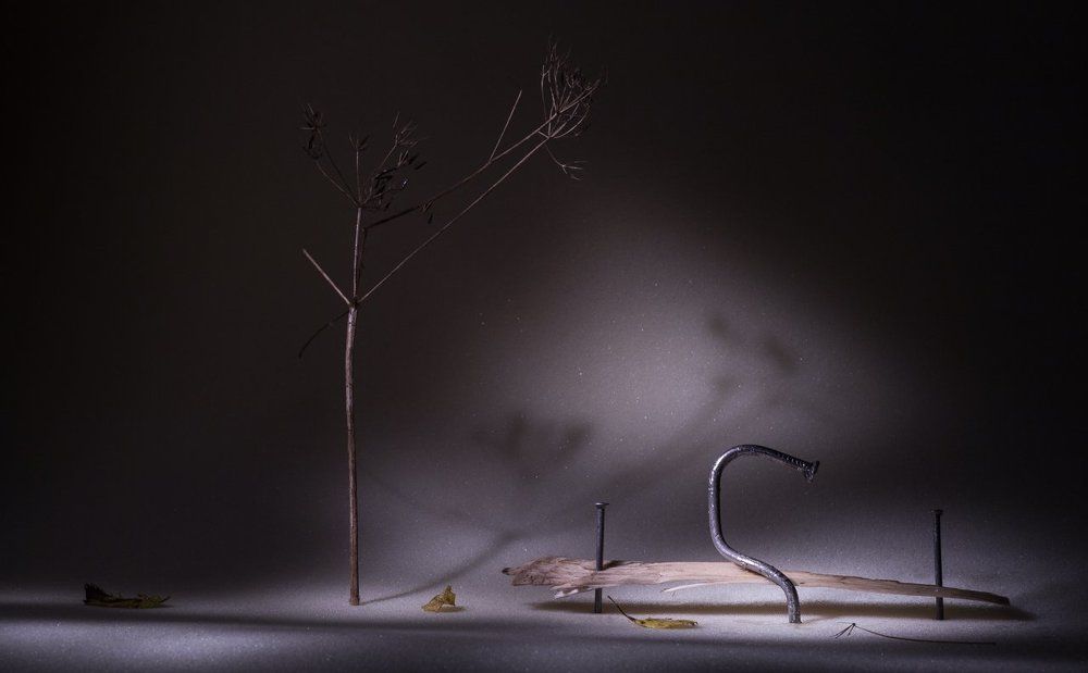 Осеннее одиночество...