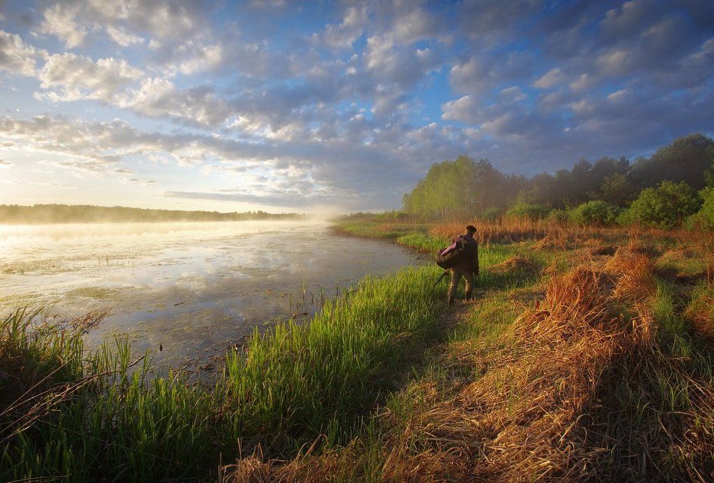 У лесного озера