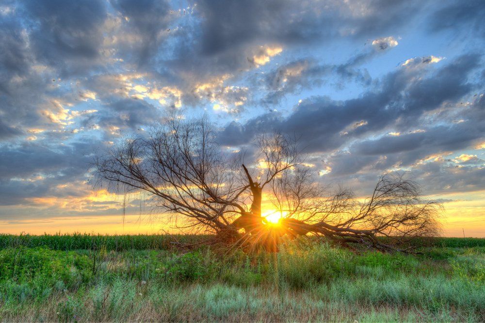 На закате жизни