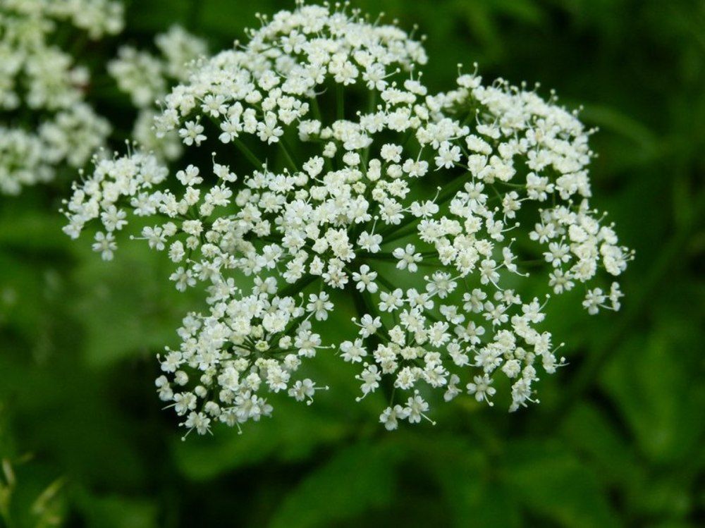 Photograph by Кристина