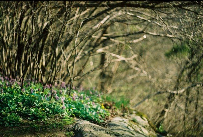 Виктория, Ukraine