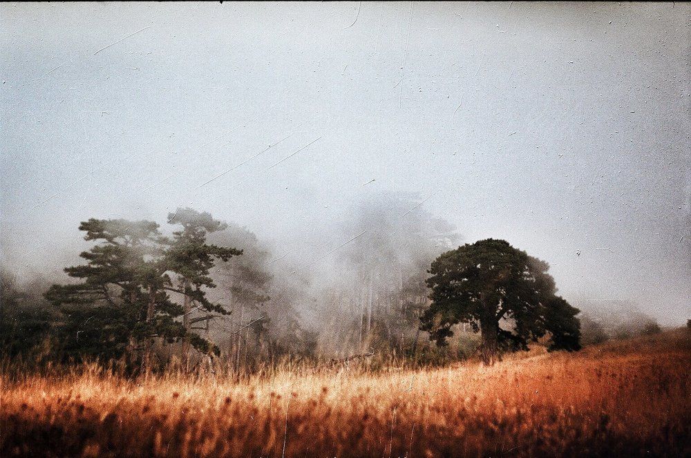 Туман в горах. Пленка