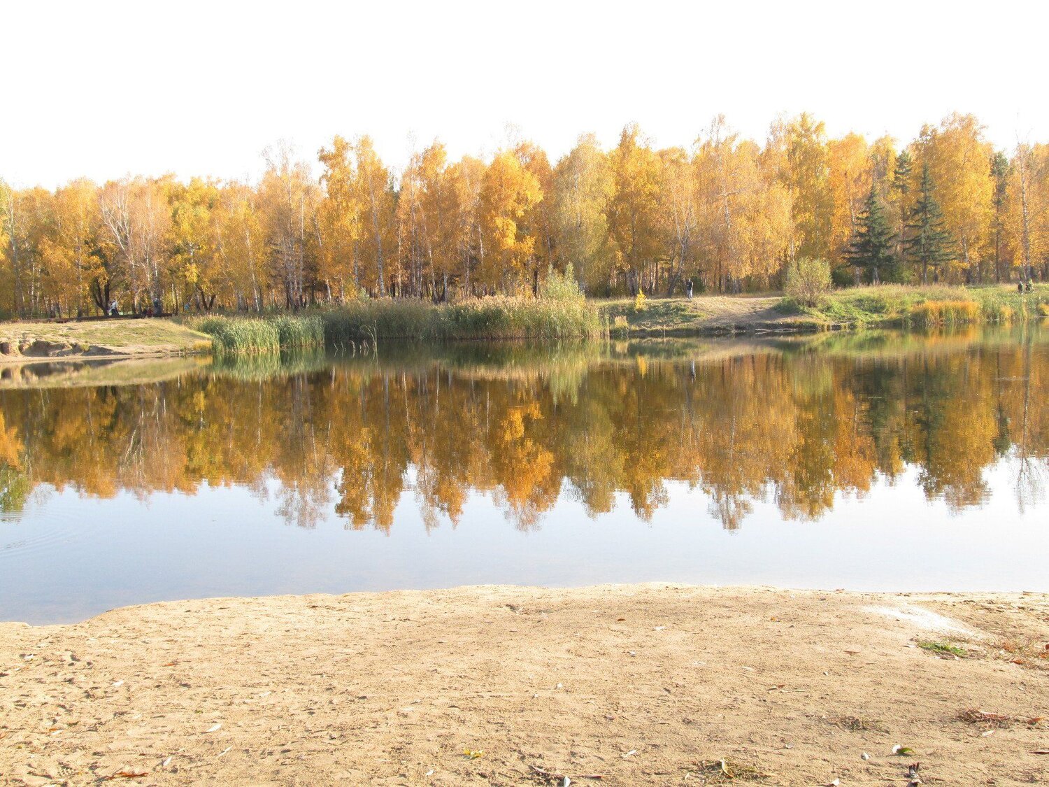 "Осень красавица"