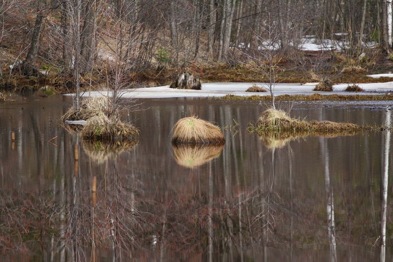 Дмитрий, Russia