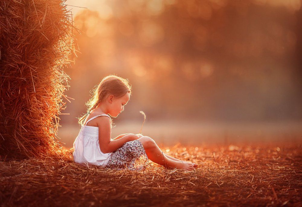 Золото заката