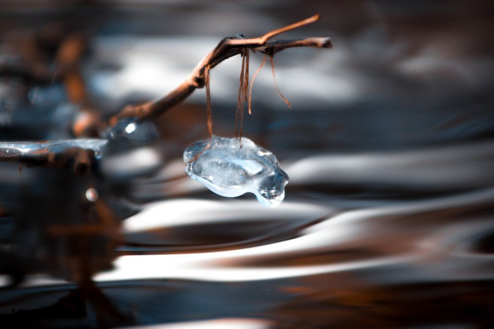 Photograph by Наталья