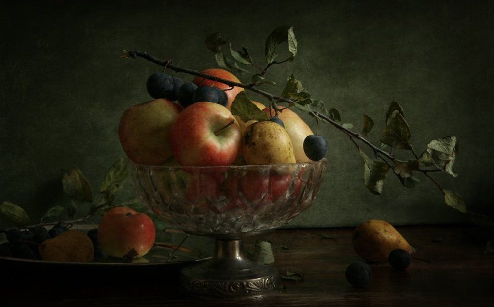 Сливовая ветка